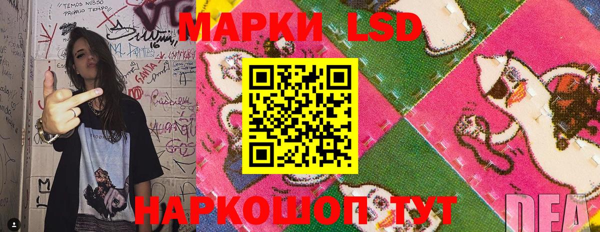 Марки NBOMe  Вход с VPN  Качканар  Марки 25I-NBOMe 1,8мг 